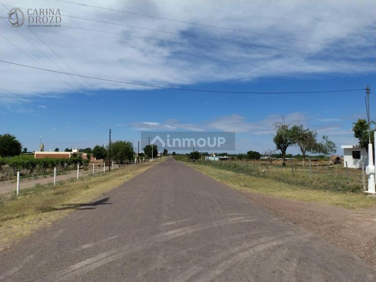Finca en Venta en San Martin, Mendoza
