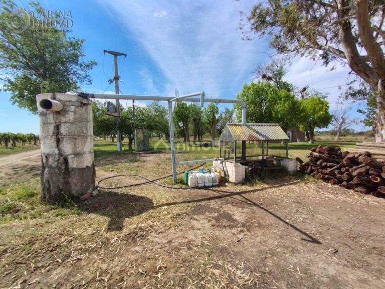 Finca en Venta en San Martin, Mendoza