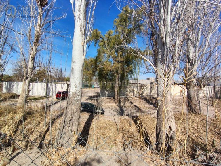 Terreno en Venta en Maipu, Mendoza