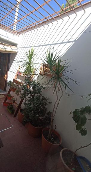 Casa en Alquiler en Lujan de Cuyo, Mendoza