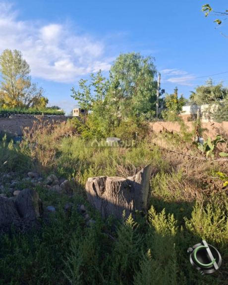 Terreno en Venta en Godoy Cruz, Mendoza
