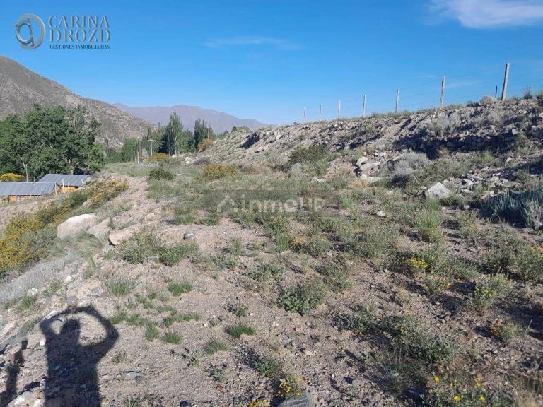 Terreno en Venta en Lujan de Cuyo, Mendoza