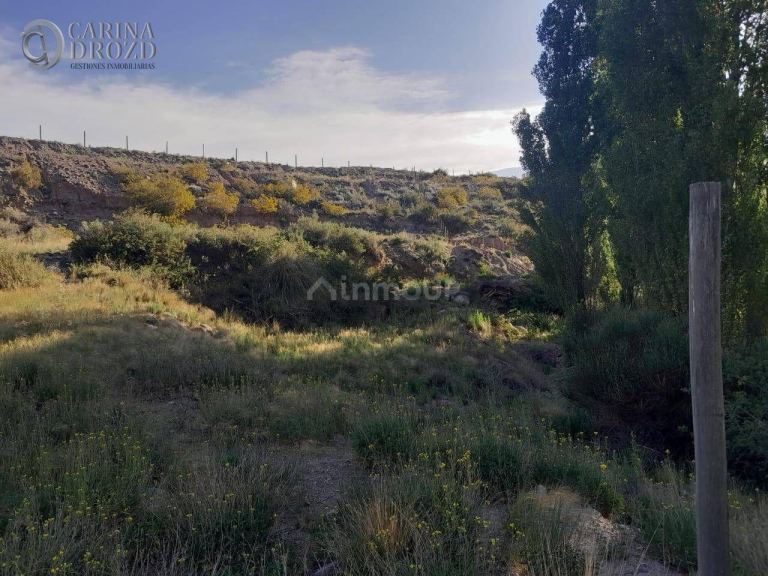 Terreno en Venta en Lujan de Cuyo, Mendoza