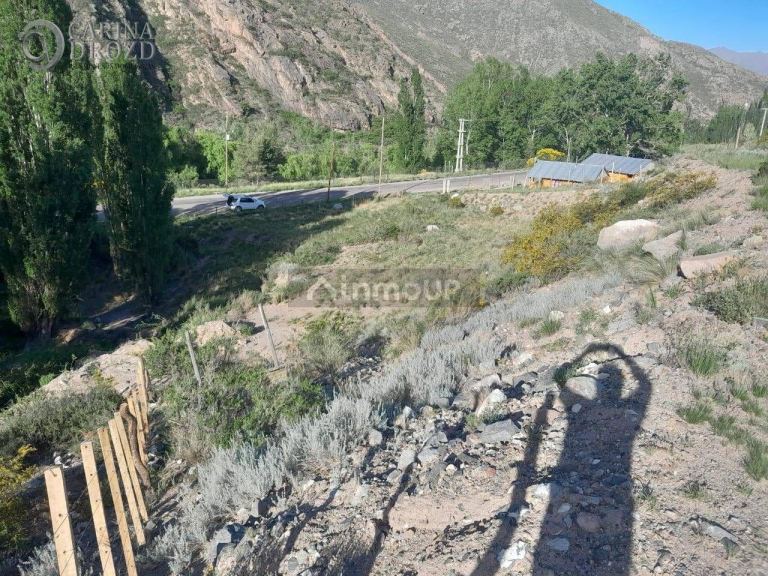 Terreno en Venta en Lujan de Cuyo, Mendoza
