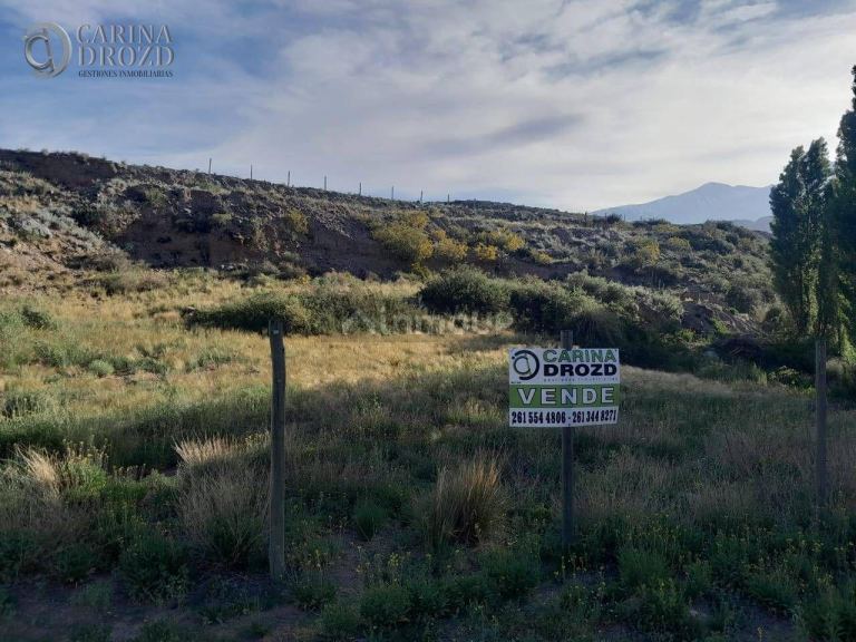 Terreno en Venta en Lujan de Cuyo, Mendoza