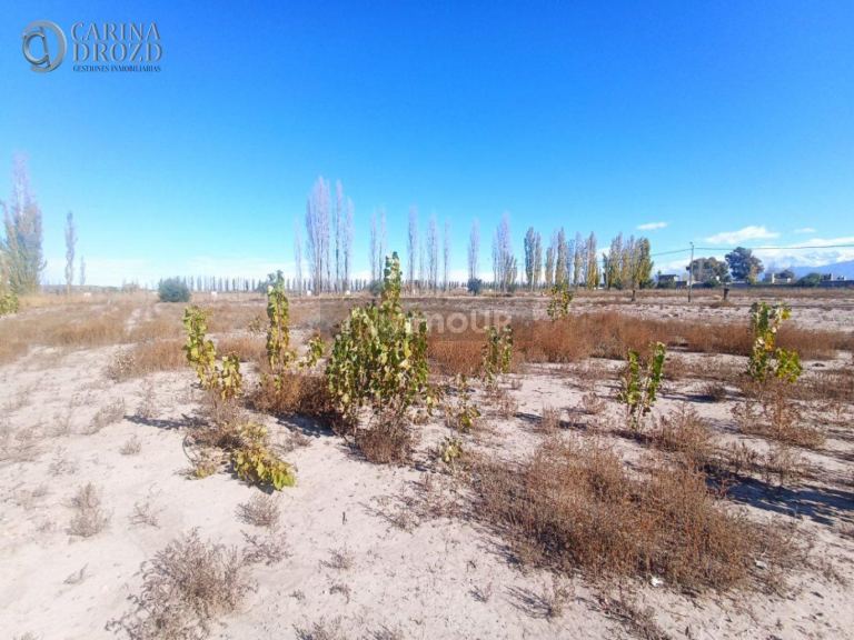 Terreno en Venta en Lujan de Cuyo, Mendoza