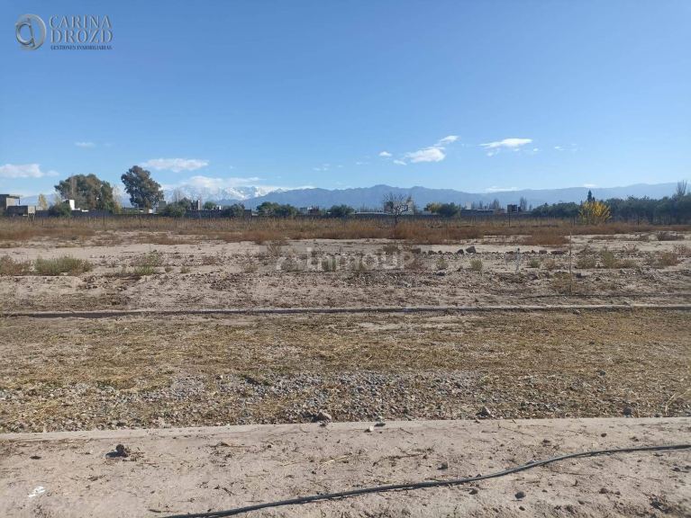 Terreno en Venta en Lujan de Cuyo, Mendoza