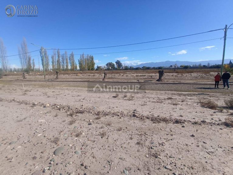 Terreno en Venta en Lujan de Cuyo, Mendoza