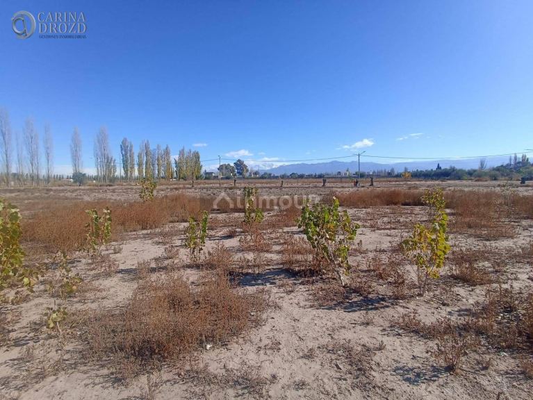Terreno en Venta en Lujan de Cuyo, Mendoza