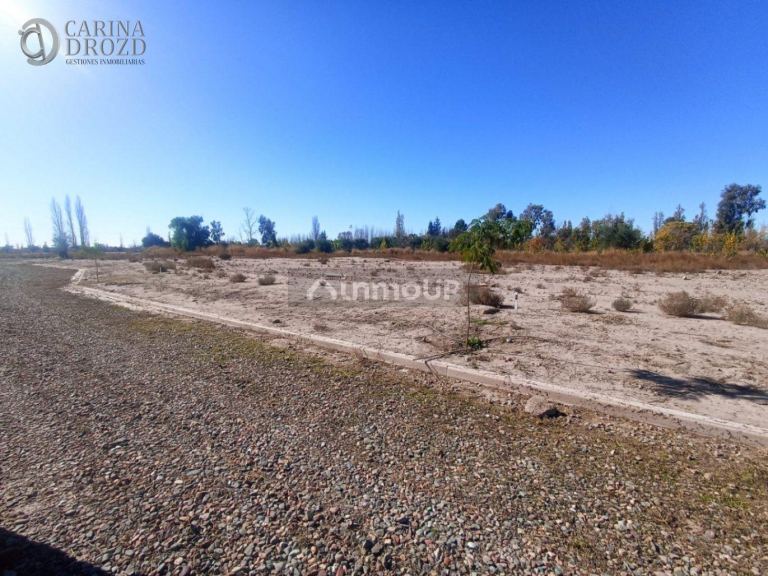 Terreno en Venta en Lujan de Cuyo, Mendoza
