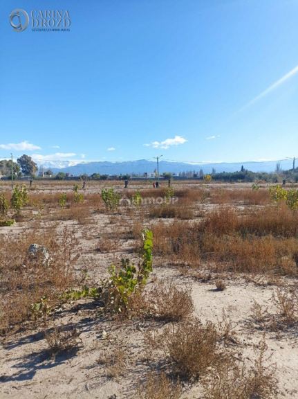 Terreno en Venta en Lujan de Cuyo, Mendoza
