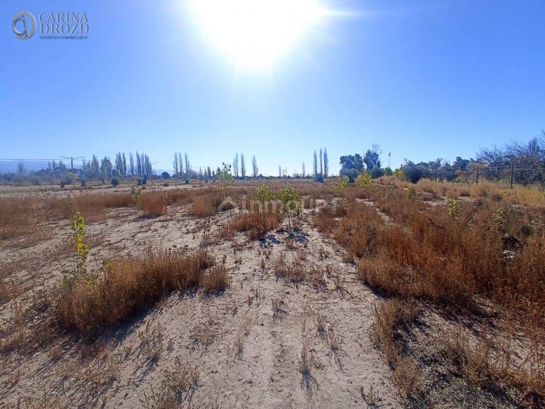 Terreno en Venta en Lujan de Cuyo, Mendoza