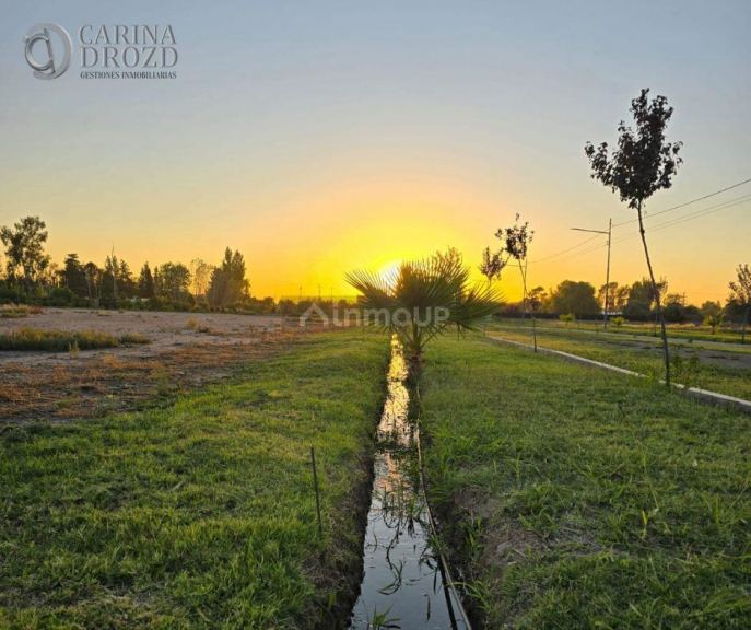 Terreno en Venta en Maipu, Mendoza