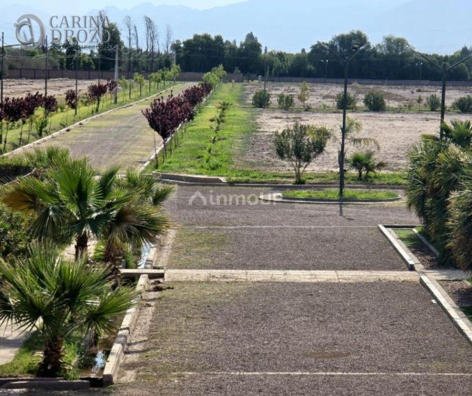 Terreno en Venta en Maipu, Mendoza