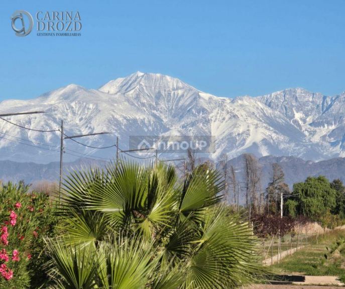 Terreno en Venta en Maipu, Mendoza