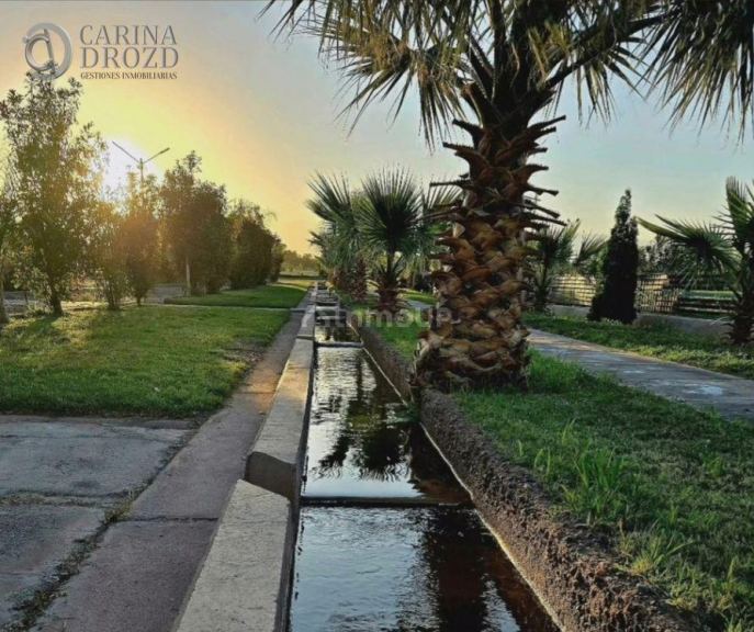 Terreno en Venta en Maipu, Mendoza