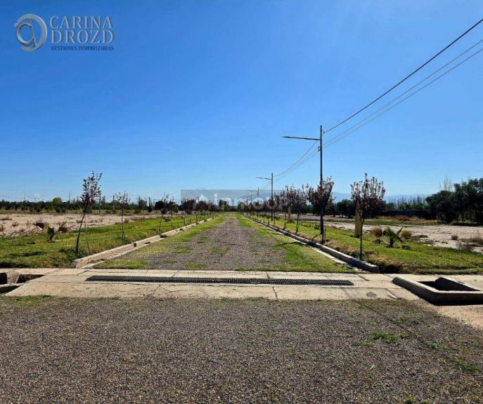 Terreno en Venta en Maipu, Mendoza
