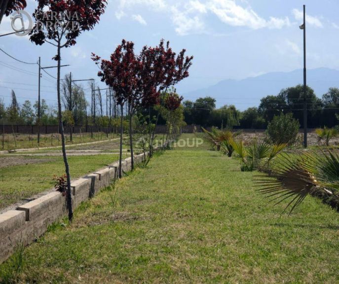 Terreno en Venta en Maipu, Mendoza