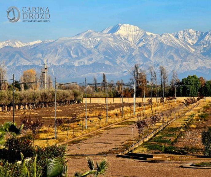 Terreno en Venta en Maipu, Mendoza