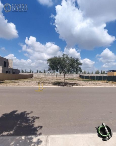 Terreno en Venta en Maipu, Mendoza