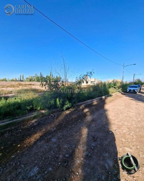Terreno en Venta en Lujan de Cuyo, Mendoza