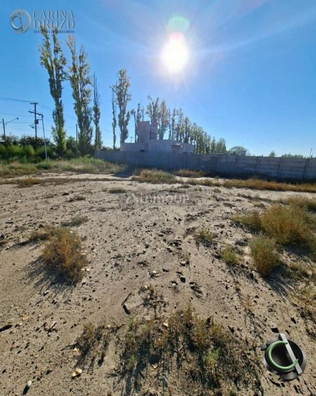 Terreno en Venta en Lujan de Cuyo, Mendoza