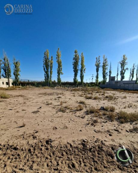 Terreno en Venta en Lujan de Cuyo, Mendoza