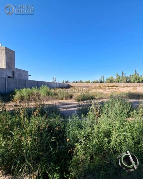 Terreno en Venta en Lujan de Cuyo, Mendoza