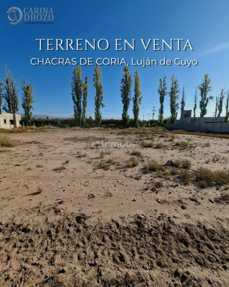 Terreno en Venta en Lujan de Cuyo, Mendoza