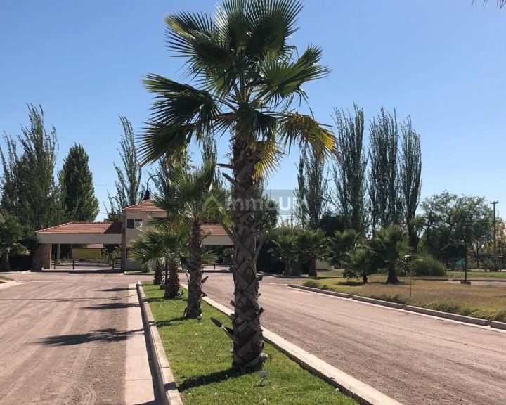 Lote en Venta en Maipu, Mendoza