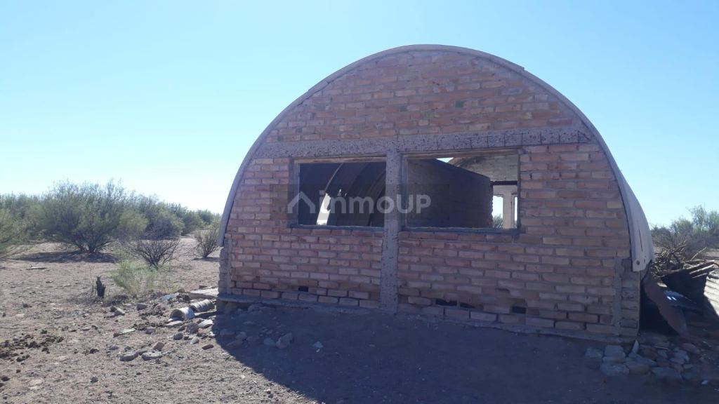 Campo en Venta en Santa Rosa, Mendoza