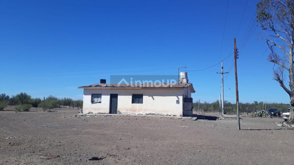 Campo en Venta en Santa Rosa, Mendoza