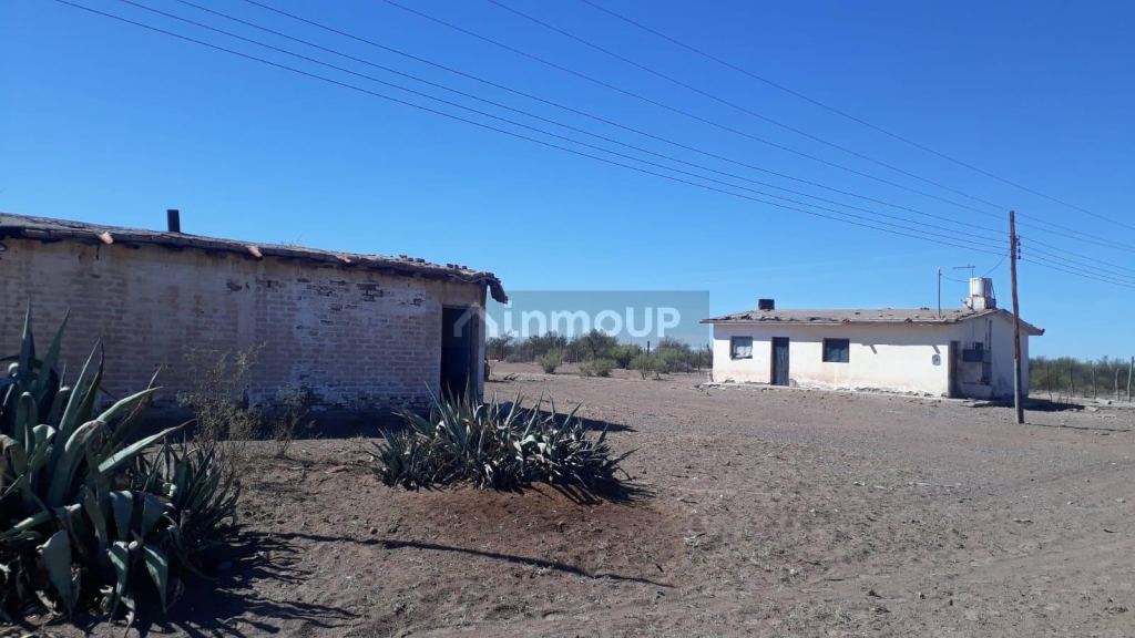 Campo en Venta en Santa Rosa, Mendoza