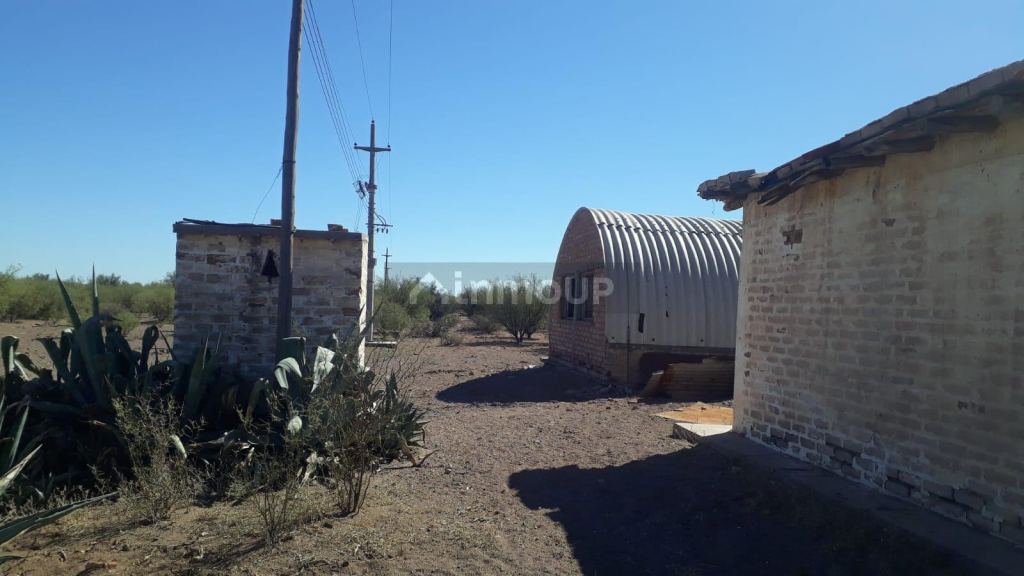 Campo en Venta en Santa Rosa, Mendoza