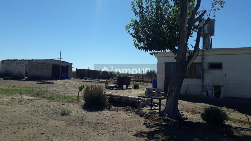 Campo en Venta en Santa Rosa, Mendoza
