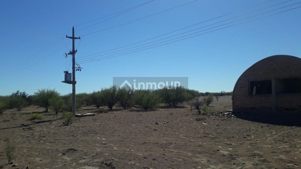 Campo en Venta en Santa Rosa, Mendoza