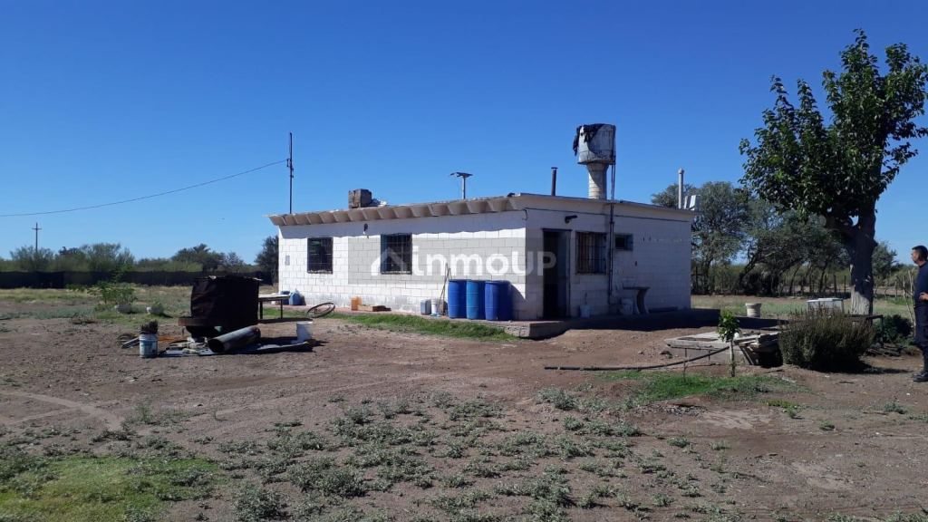 Campo en Venta en Santa Rosa, Mendoza