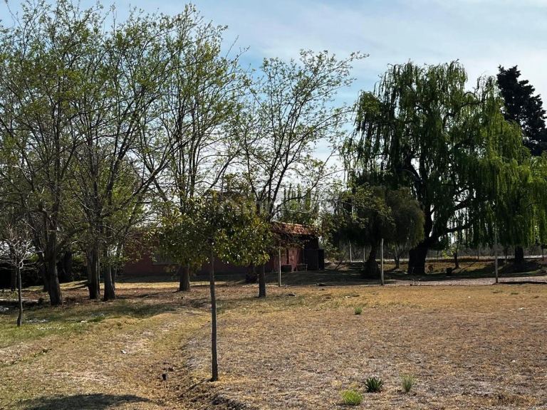 Terreno en Venta en Maipu, Mendoza