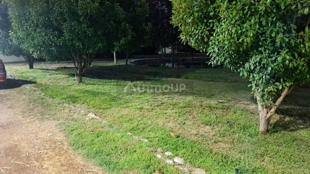 Terreno en Venta en Maipu, Mendoza
