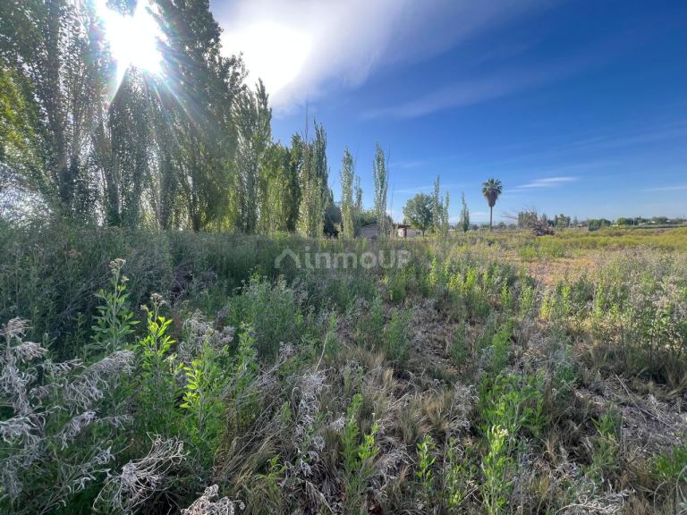 Terreno en Venta en Guaymallen, Mendoza