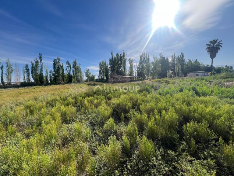 Terreno en Venta en Guaymallen, Mendoza