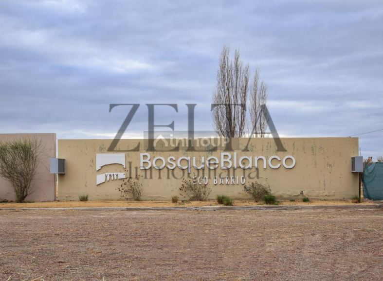 Local Comercial en Venta en Junin, Mendoza