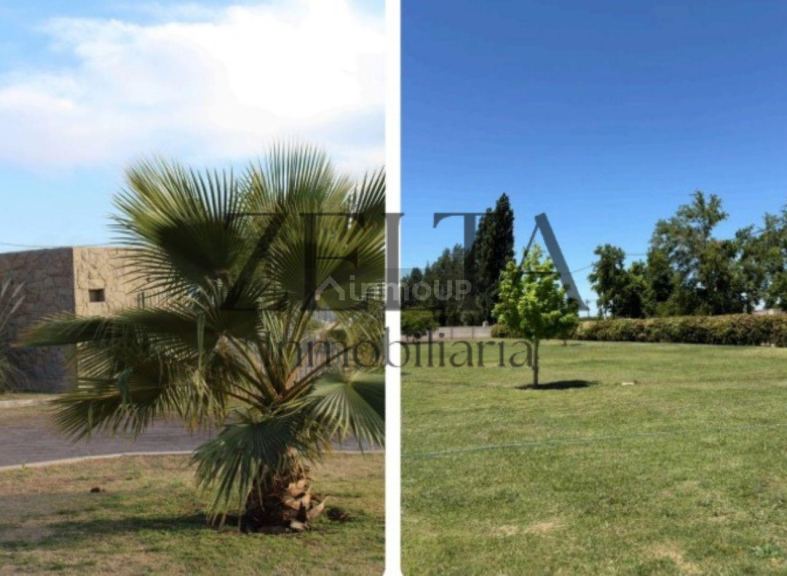 Terreno en Venta en Maipu, Mendoza