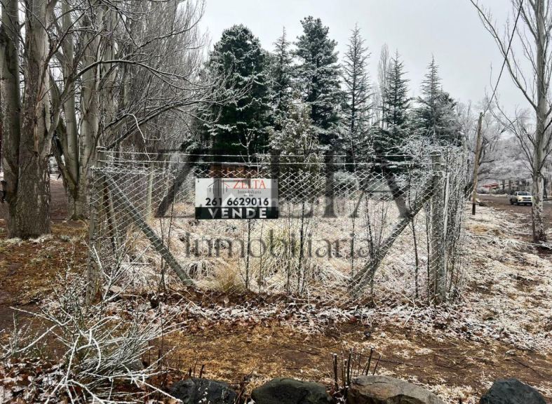 Terreno en Venta en Lujan de Cuyo, Mendoza