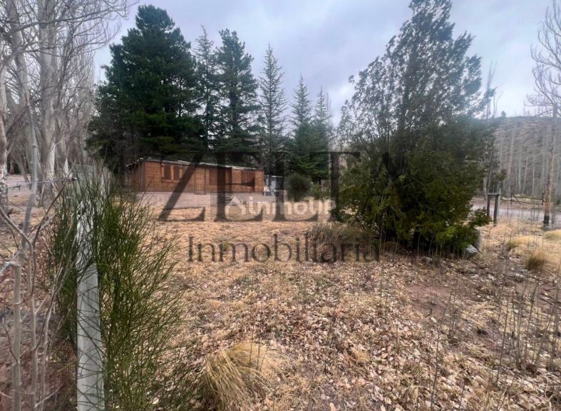 Terreno en Venta en Lujan de Cuyo, Mendoza