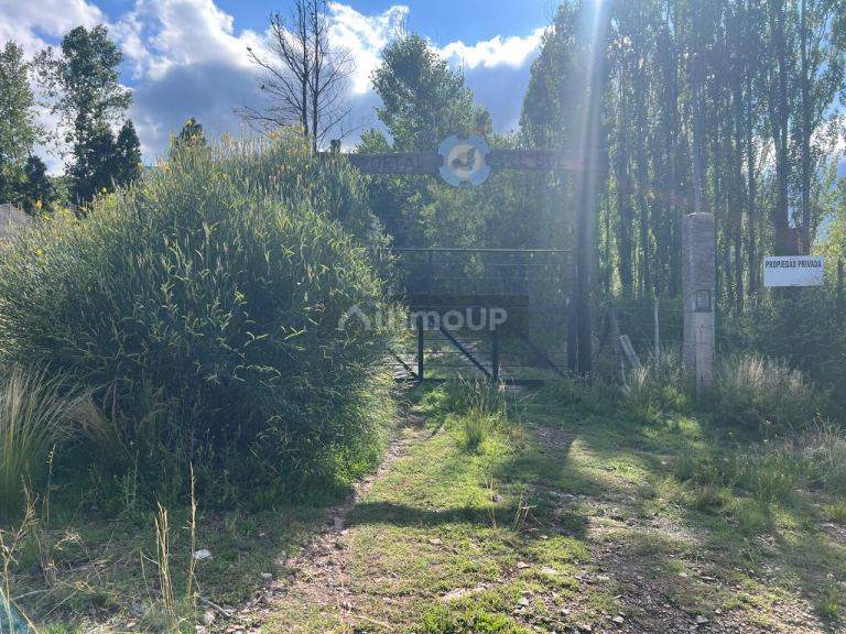 Cabaña en Venta en Lujan de Cuyo, Mendoza