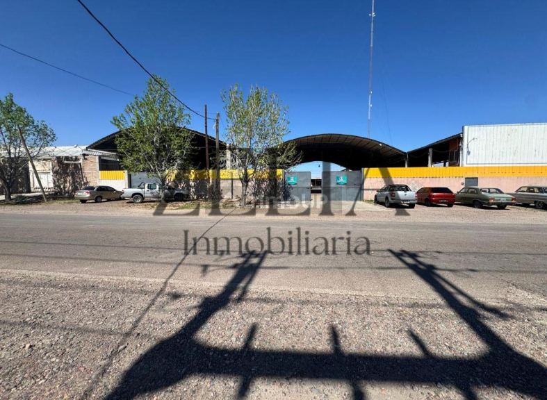 Galpon en Venta en Rivadavia, Mendoza