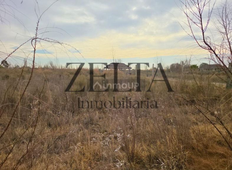 Terreno en Venta en Maipu, Mendoza