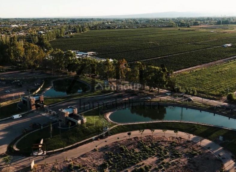 Terreno en Venta en Lujan de Cuyo, Mendoza - USD 78.000 | Inmoup - 9