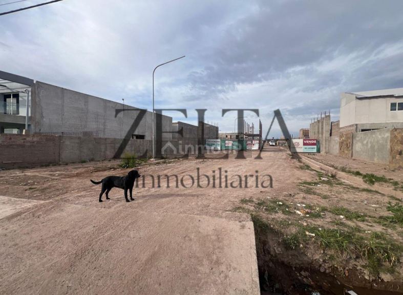 Terreno en Venta en Lujan de Cuyo, Mendoza